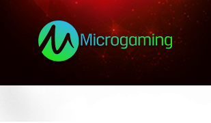 MicroGaming